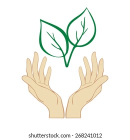 Leaf growing from hands. Concept illustration