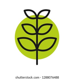 Leaf growth icon. Flat icon style. Stroke outline vector. Isolate on white background.