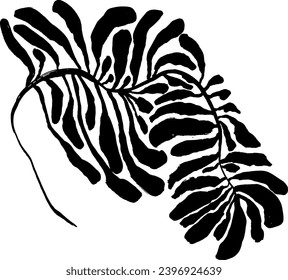 Leaf Grunge Artwork Brush Silhouette Element