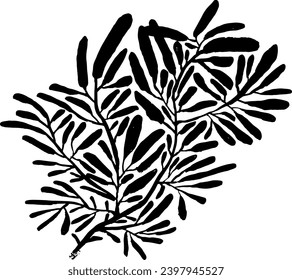 Leaf Grunge Artwork Brush Silhouette Element