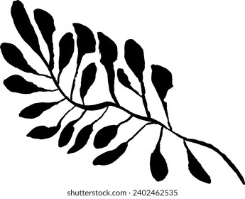 Leaf Grunge Artwork Brush Silhouette Element