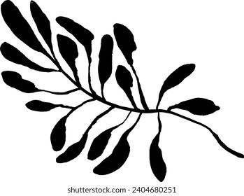 Leaf Grunge Artwork Brush Silhouette Element