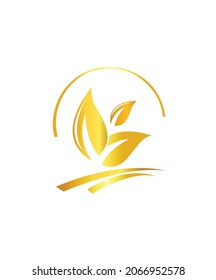 Leaf and Half Circle With Golden Color Logo
