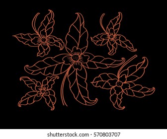 Leaf hand drawing illustration.