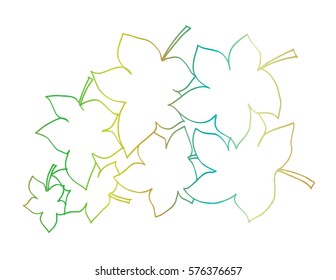 Leaf hand drawing illustration