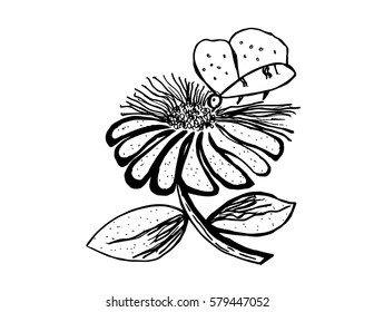 Leaf hand drawing illustration. Decorative style