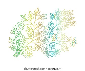 Leaf hand drawing illustration. Decorative style