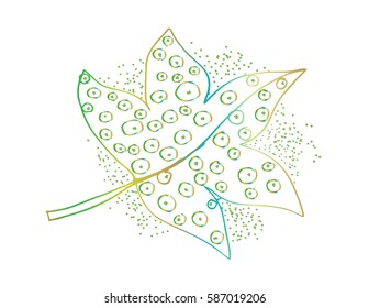 Leaf hand drawing illustration. Decorative style