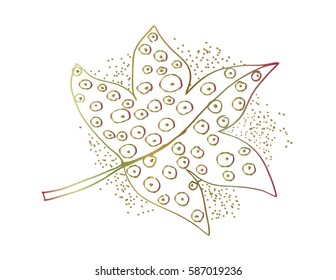 Leaf hand drawing illustration. Decorative style