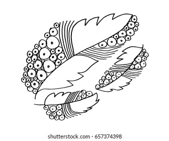 Leaf hand drawing illustration. Decorative style