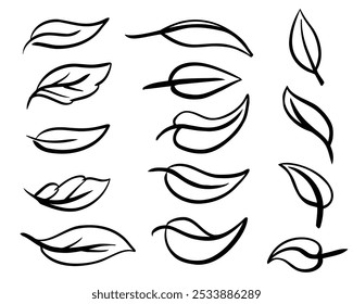 leaf hand drawn art doodle set vector