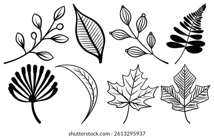 Leaf hand drawn autumn botanical different outline collection.Set vector leaves line art style object black on white background.Element sketches illustration tropical foliage branches.decoration,card.