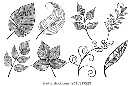 Leaf hand drawn autumn botanical different outline collection.Set vector leaves line art style object black on white background.Element sketches illustration tropical foliage branches.decoration,card.