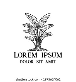 leaf hand drawn design logo vector. leaf illustration vector