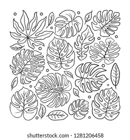 Leaf Hand Drawn Doodle