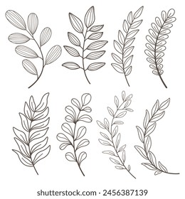 leaf hand drawn doodle . illustration of Doodle design elements.	