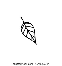 leaf hand drawn in doodle style. Element for logo design, icon, postcard, poster