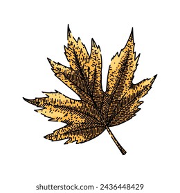 leaf hand drawn. flag red, fall foliage, ground yellow maple leaf vector sketch. isolated color illustration