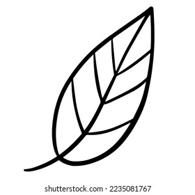 Leaf hand drawn icon design vector. 