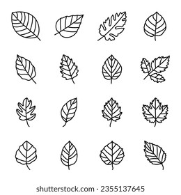 Leaf hand drawn icon vector set