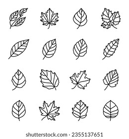 Leaf hand drawn icon vector set