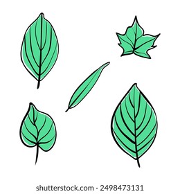 leaf hand drawn illustration flat