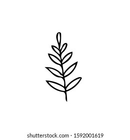 leaf in hand drawn style. Scandinavian simple doodle style. summer, autumn, nature