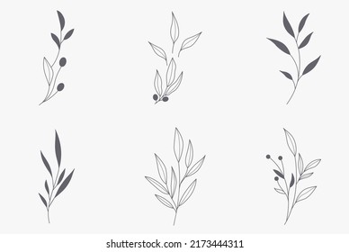 Leaf in hand drawn style. leaf shape and foliage black and white. Illustration for the Valentine's day, wedding decor, logo and identity template.