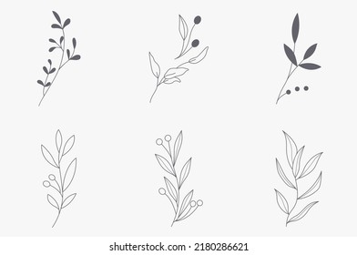 Leaf in hand drawn style. leaf shape and foliage black and white. Illustration for the Valentine's day, wedding decor, logo and identity template.