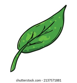 Hoja dibujada a mano. Ilustración vectorial de la hoja de primavera. 