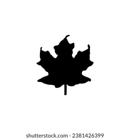 leaf hand drawn vector illustration on white background with black line design elements. exotic summer botanical illustration.