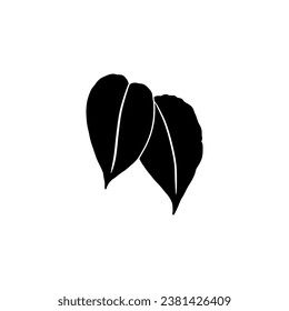 leaf hand drawn vector illustration on white background with black line design elements. exotic summer botanical illustration.