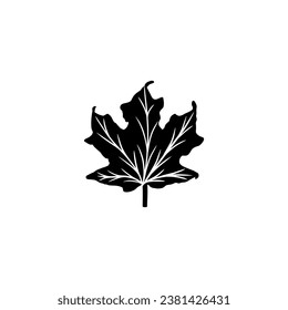 leaf hand drawn vector illustration on white background with black line design elements. exotic summer botanical illustration.