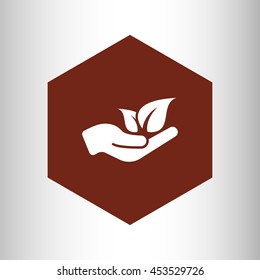 leaf in hand icon