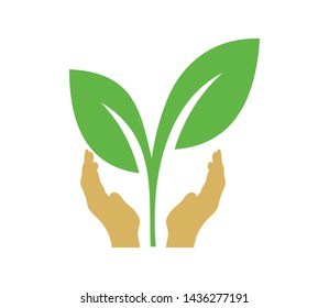 Leaf in hand logo.  Vector symbolic graphic representation of the plant. Hand Leaf icons design template