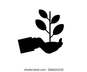 Leaf and hand, plant in hand, care nature icon vector