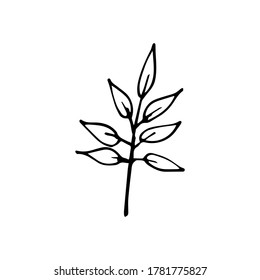 Doodle de otoño dibujado a mano en hojas. Ilustración del vector