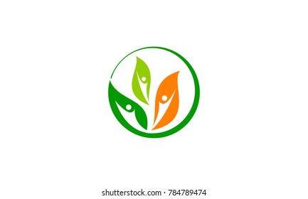 Leaf Health Logo Design Template Vector