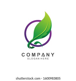 Leaf Health Logo Design Vector