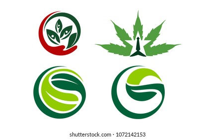 Leaf Health Template Set