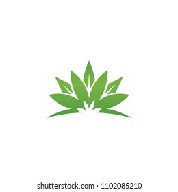 leaf healthycare logo template