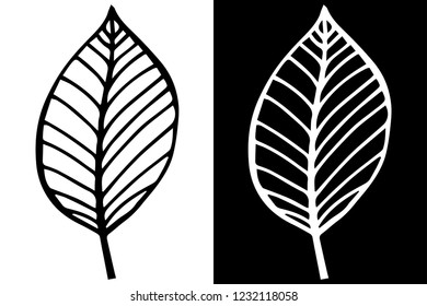 leaf herb floral hand drawn sketch black and white doodle