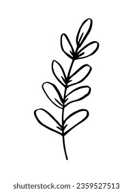 Hojas, boceto de garbanzos dibujado a mano con hierbas. Ilustración vectorial de la planta botánica de dibujos animados. Aislado sobre fondo blanco.