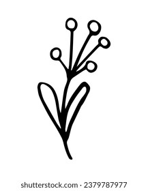Leaf, herbs grass hand drawn doodle sketch. Vector illustration single of cartoon botanical plant. Isolated on white background.