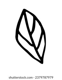 Leaf, Kräuter Gras handgezeichnet Doodle Skizze. Vektorgrafik einzelne Cartoon botanische Pflanze. Einzeln auf weißem Hintergrund.