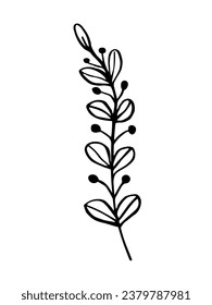 Leaf, herbs grass hand drawn doodle sketch. Vector illustration single of cartoon botanical plant. Isolated on white background.