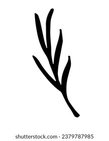 Leaf, herbs grass hand drawn doodle sketch. Vector illustration single of cartoon botanical plant. Isolated on white background.