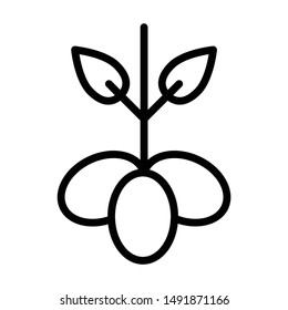 Leaf Herbs and Spcies Icons