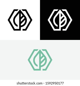 Leaf Hexagon Natural Abstract Logo