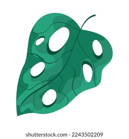 leaf with holes foliage icon